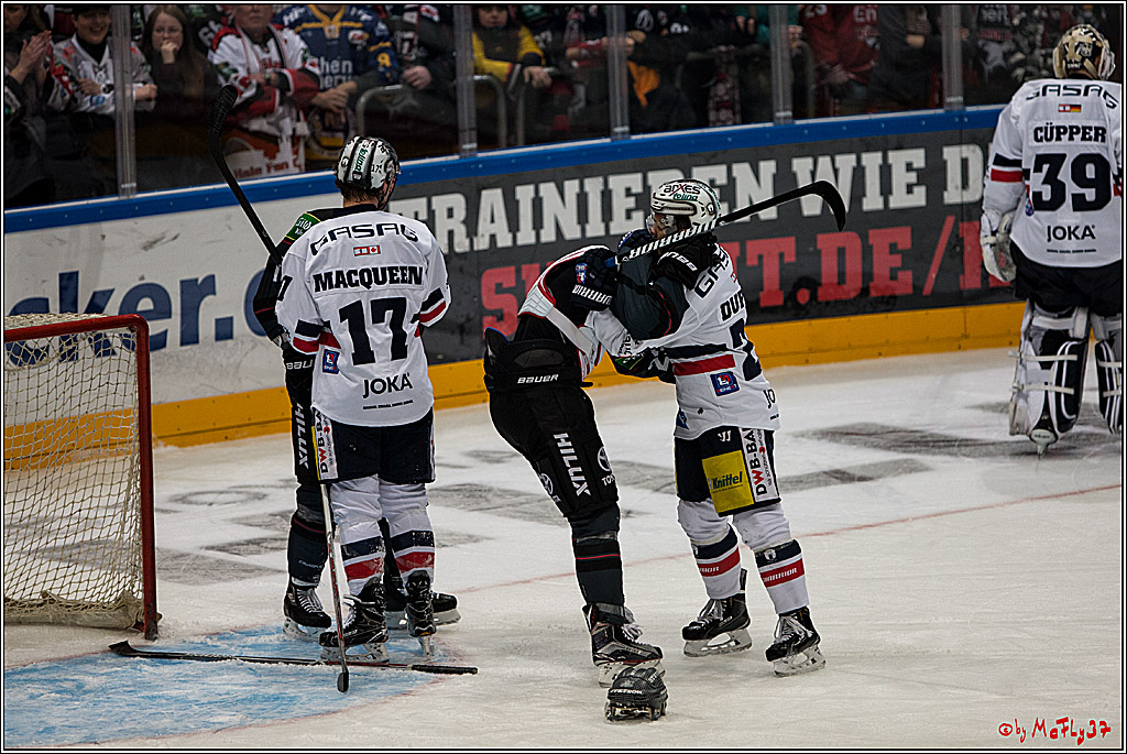 Koelner Haie - Eisbaeren Berlin, 13.11.2016